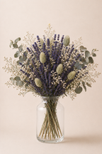 Camp de Lavanda
