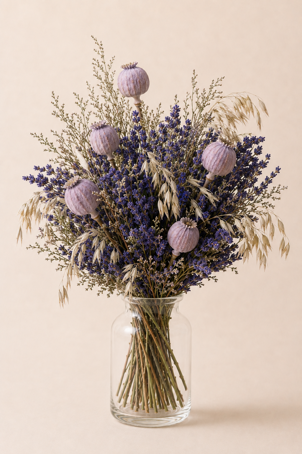 Camp de Lavanda