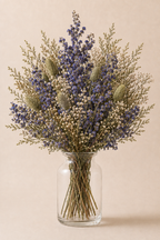 Camp de Lavanda
